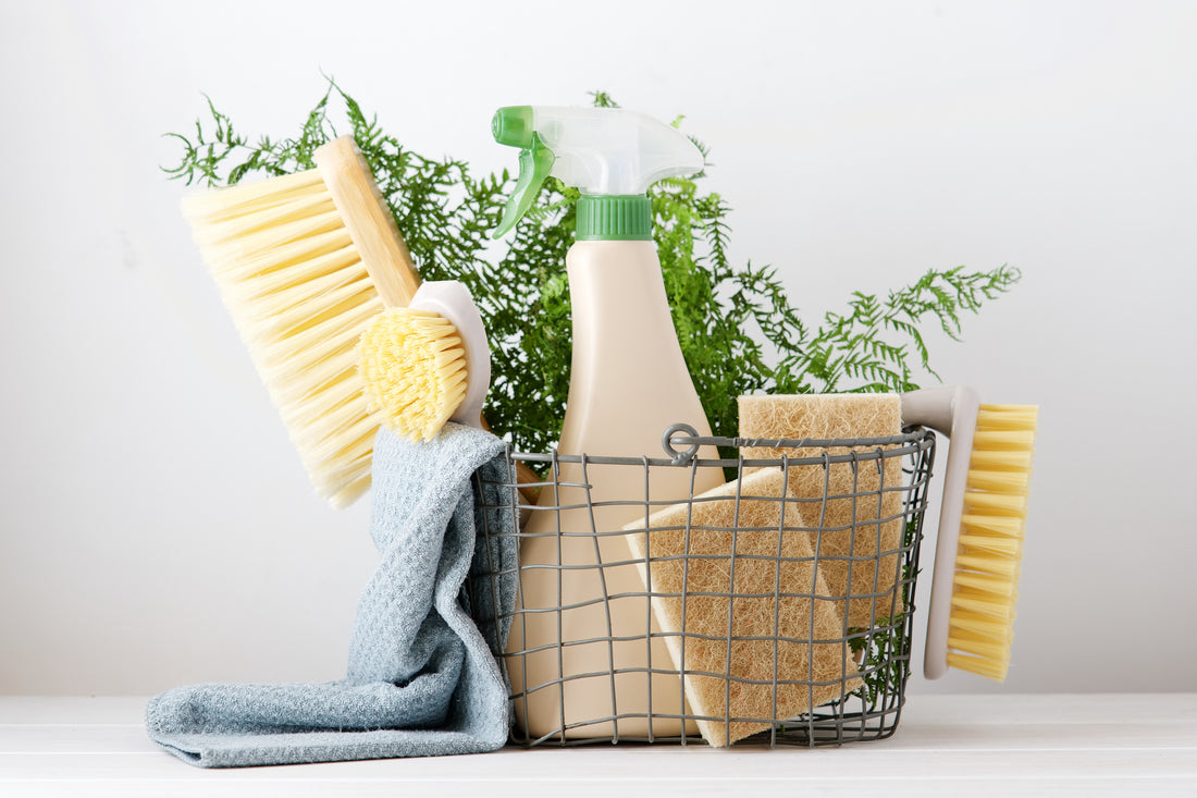 Eco-Friendly Kitchen Habits: Small Changes for a Greener Home