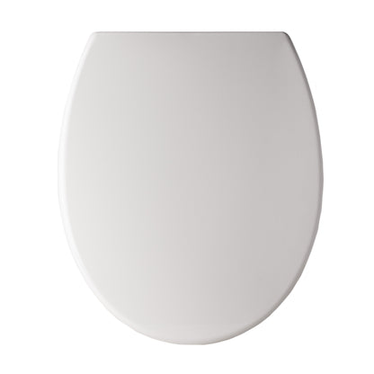 Family Toilet Seat With Anti Bacterial Agent Finish Bathroom Sabichi Homewares Ltd
