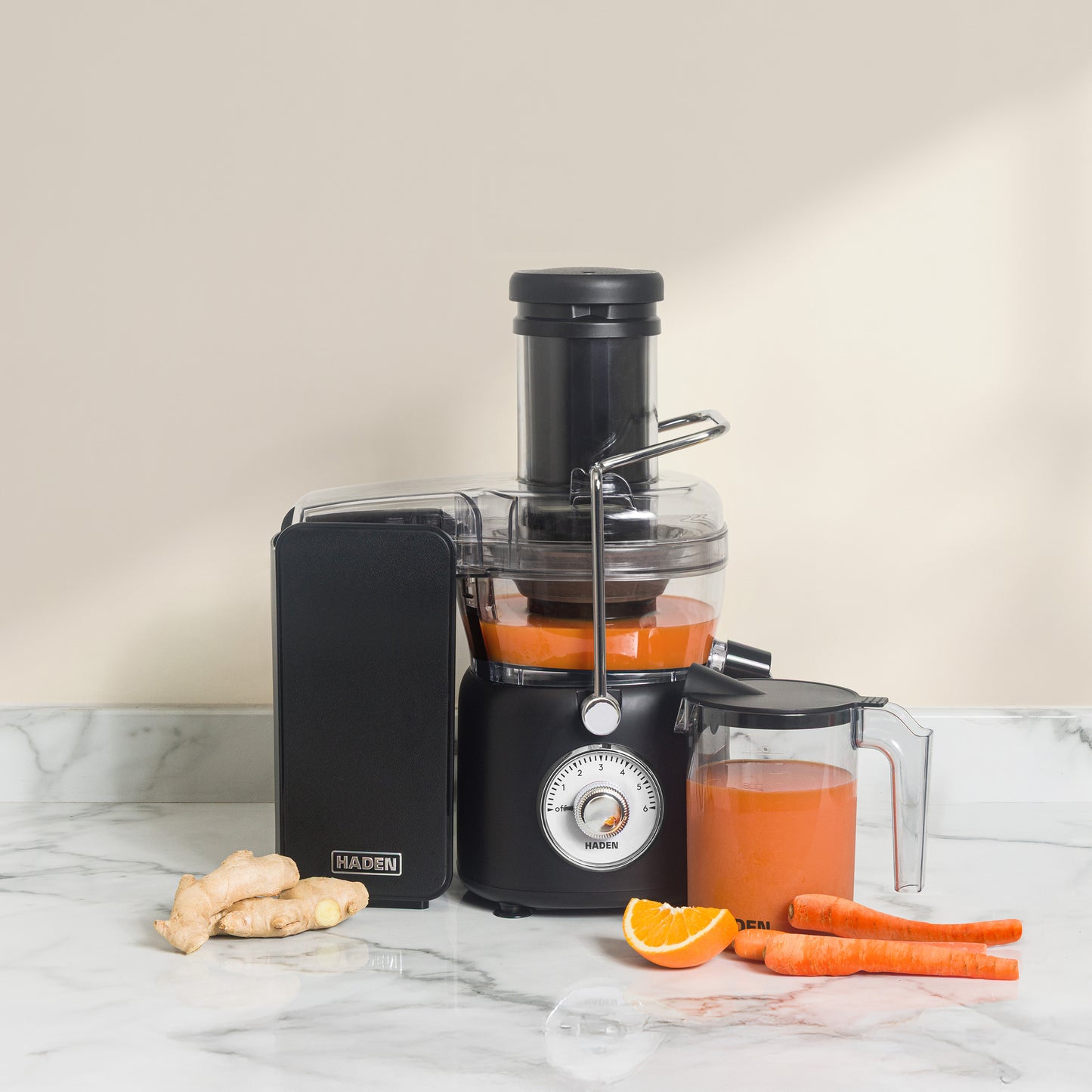Haden 1L Juicer Black Juicer Haden