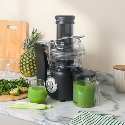 Haden 1L Juicer Black Juicer Haden