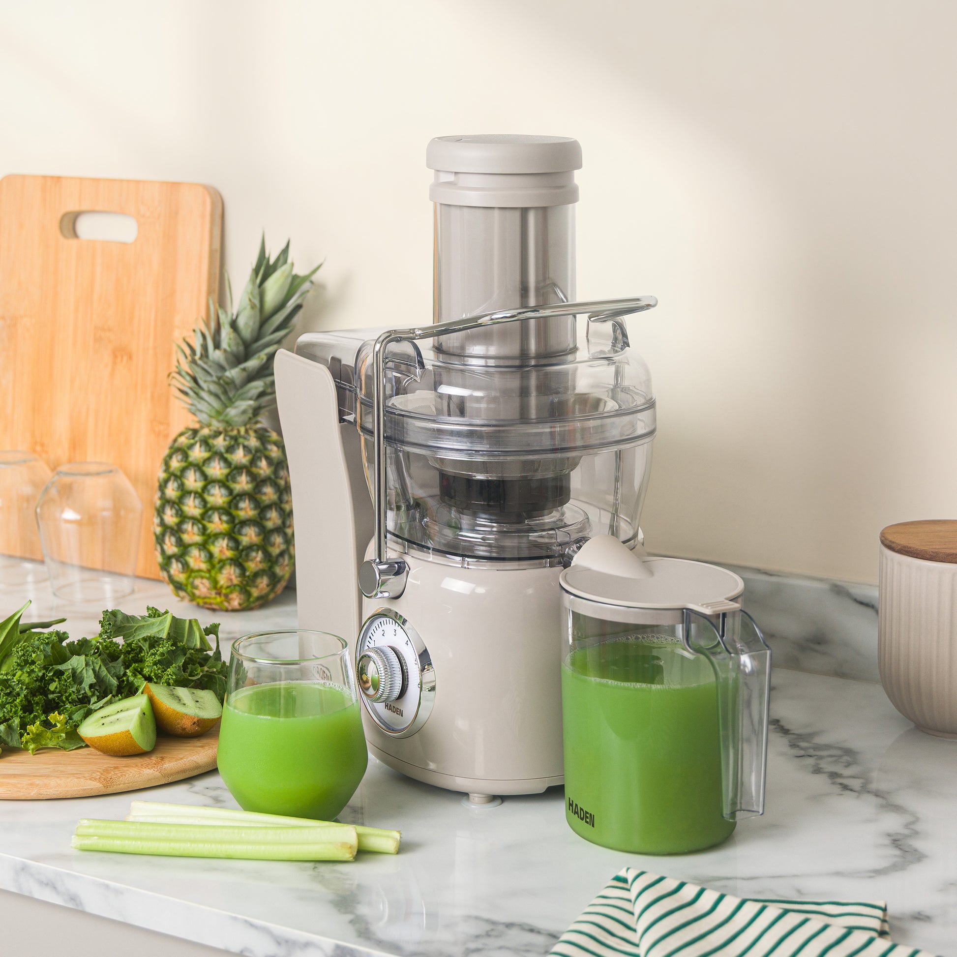 Haden 1L Juicer Putty Juicer Haden