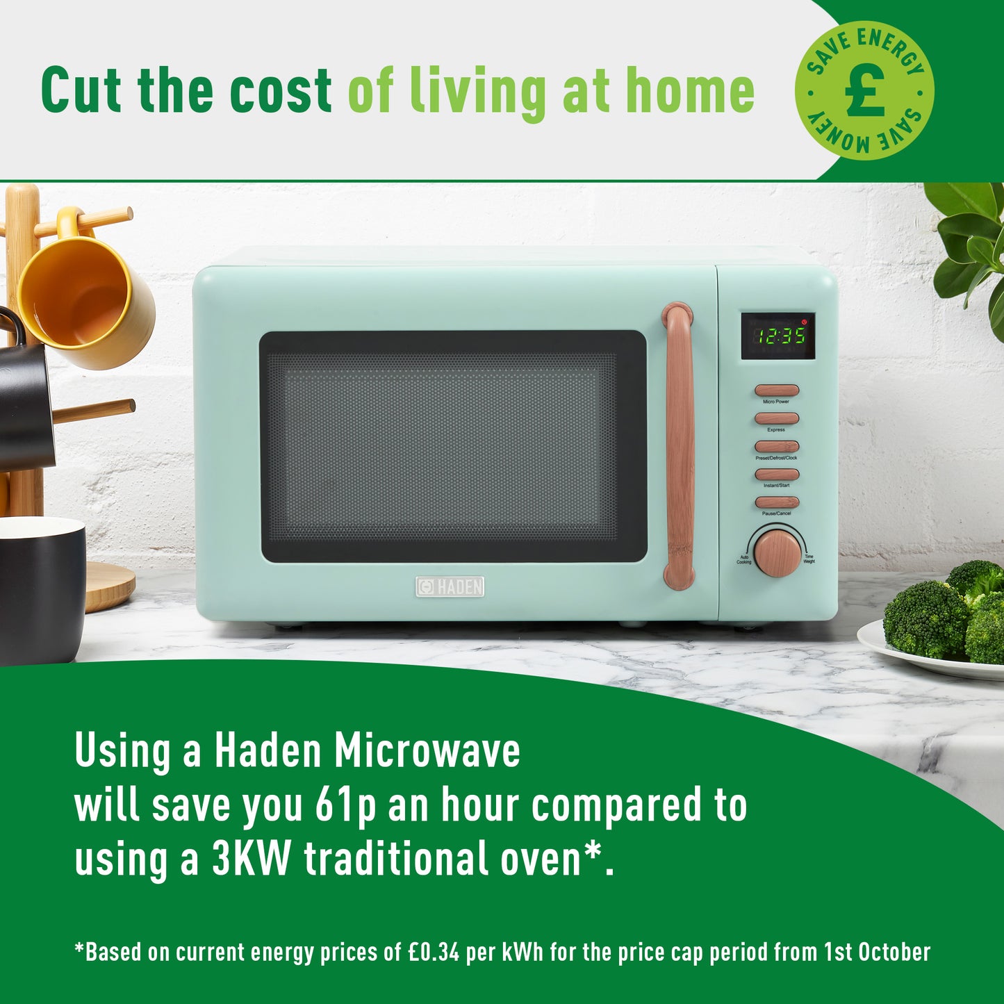 Haden Dorchester Sage Microwave